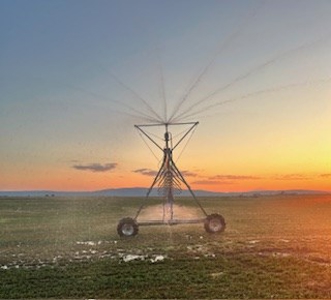 Alfalfa Hay Ranch - image 22