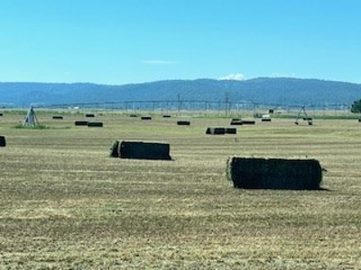 Alfalfa Hay Ranch - image 21