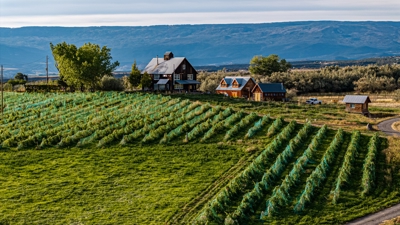 Jack Rabbit Hill Farm & Winery For Sale