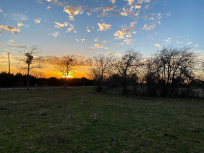 34.5+/- Acres for Sale in Gatesville, TX – Hill Country Views - image 8
