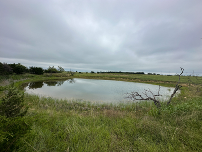 34.5+/- Acres for Sale in Gatesville, TX – Hill Country Views - image 36