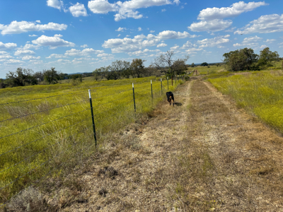 34.5+/- Acres for Sale in Gatesville, TX – Hill Country Views - image 7