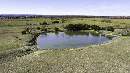 34.5+/- Acres for Sale in Gatesville, TX – Hill Country Views - image 30