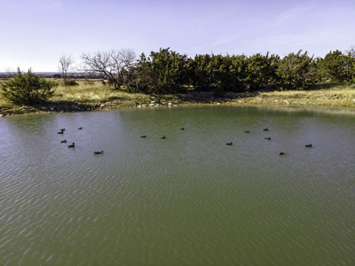 34.5+/- Acres for Sale in Gatesville, TX – Hill Country Views - image 33