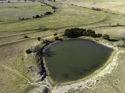 34.5+/- Acres for Sale in Gatesville, TX – Hill Country Views - image 31