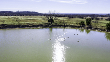 34.5+/- Acres for Sale in Gatesville, TX – Hill Country Views - image 4