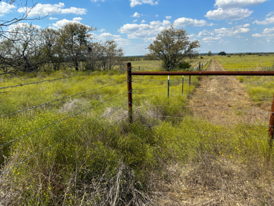 34.5+/- Acres for Sale in Gatesville, TX – Hill Country Views - image 17