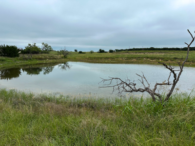 34.5+/- Acres for Sale in Gatesville, TX – Hill Country Views - image 24