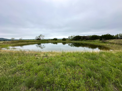 34.5+/- Acres for Sale in Gatesville, TX – Hill Country Views - image 23