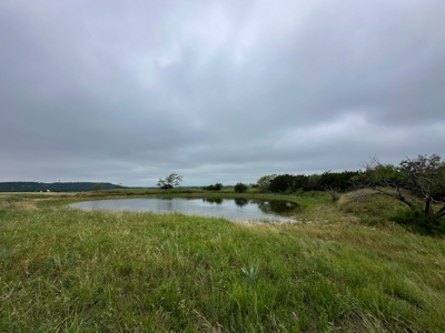 34.5+/- Acres for Sale in Gatesville, TX – Hill Country Views - image 39