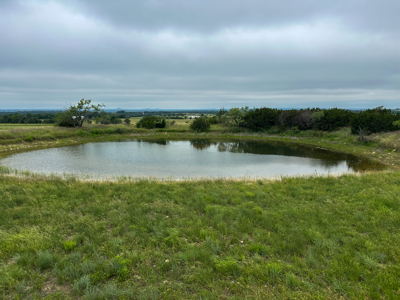 34.5+/- Acres for Sale in Gatesville, TX – Hill Country Views - image 1