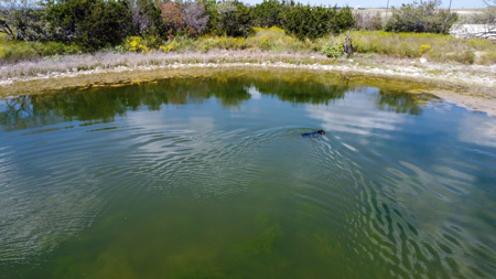 34.5+/- Acres for Sale in Gatesville, TX – Hill Country Views - image 26