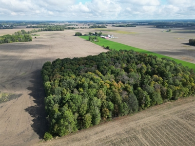 Trustee Live Auction for 4 farms, Morrow County 79 acres - image 4