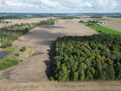 Trustee Live Auction for 4 farms, Morrow County 79 acres - image 3
