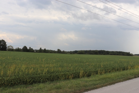 Trustee Live Auction for 4 farms, Morrow County Tract 5 5 ac - image 4