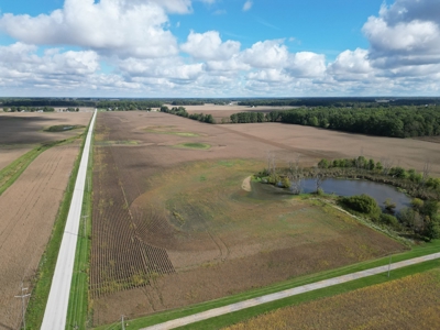 Trustee Live Auction for 4 farms, Morrow County Tract 5 5 ac - image 3