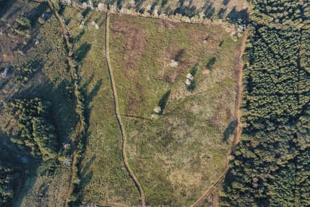 Parish Line 152 - image 17