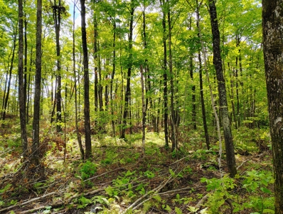 Land for Sale in Mellen, Wisconsin - image 19