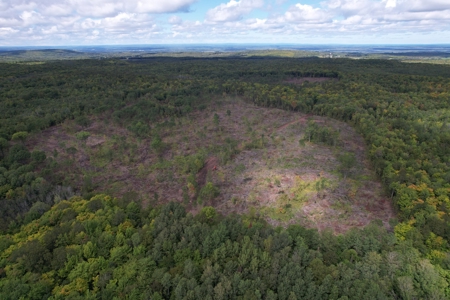 Land for Sale in Mellen, Wisconsin - image 20
