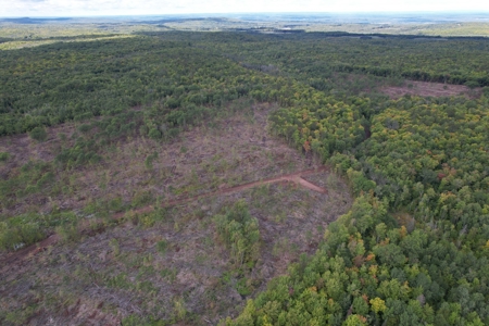 Land for Sale in Mellen, Wisconsin - image 10