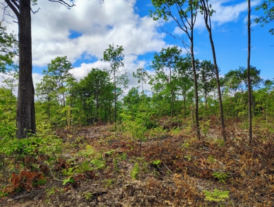 Land for Sale in Mellen, Wisconsin - image 17