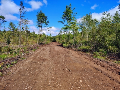 Land for Sale in Mellen, Wisconsin - image 13