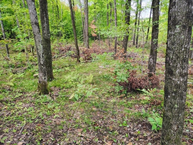 Land for Sale in Mellen, Wisconsin - image 7