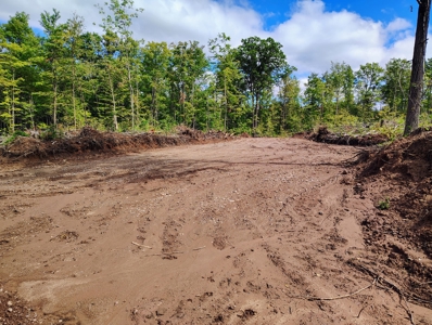 Land for Sale in Mellen, Wisconsin - image 1