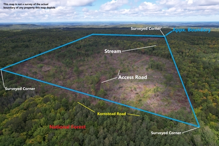Land for Sale in Mellen, Wisconsin - image 22
