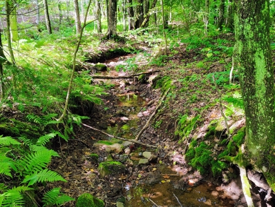 Land for Sale in Mellen, Wisconsin - image 15