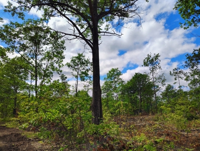 Land for Sale in Mellen, Wisconsin - image 18