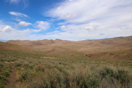 Eastern Oregon Cottonwood Ranch - image 7