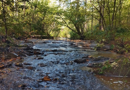 Country Home with Creek Frontage for Sale in Woolwine, VA - image 3