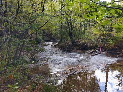 Country Home with Creek Frontage for Sale in Woolwine, VA - image 44