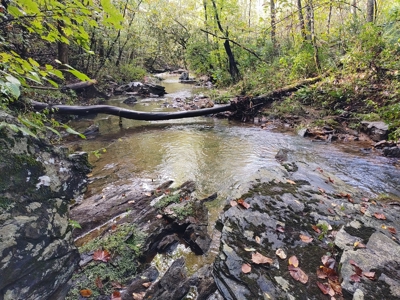 Country Home with Creek Frontage for Sale in Woolwine, VA - image 47