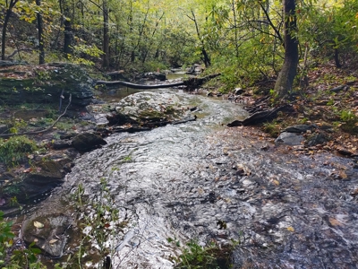 Country Home with Creek Frontage for Sale in Woolwine, VA - image 46