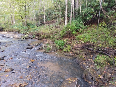 Country Home with Creek Frontage for Sale in Woolwine, VA - image 49