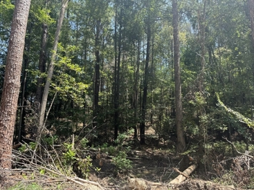Listing 49