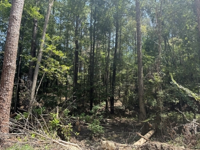 296 Acre Timberland for Sale with Creek Southwest MS - image 8