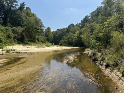 296 Acre Timberland for Sale with Creek Southwest MS - image 2