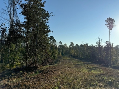 296 Acre Timberland for Sale with Creek Southwest MS - image 33