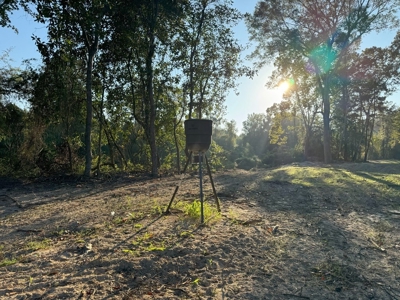 296 Acre Timberland for Sale with Creek Southwest MS - image 29