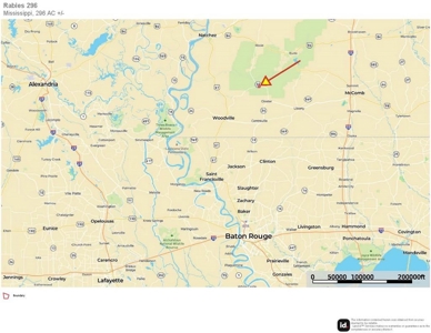 296 Acre Timberland for Sale with Creek Southwest MS - image 43