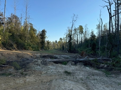 296 Acre Timberland for Sale with Creek Southwest MS - image 36