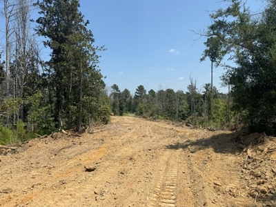 296 Acre Timberland for Sale with Creek Southwest MS - image 13