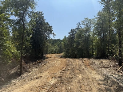 296 Acre Timberland for Sale with Creek Southwest MS - image 9