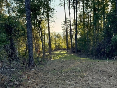 296 Acre Timberland for Sale with Creek Southwest MS - image 22