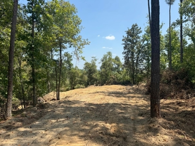 296 Acre Timberland for Sale with Creek Southwest MS - image 12