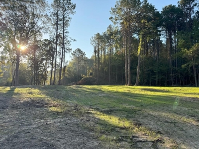 296 Acre Timberland for Sale with Creek Southwest MS - image 1