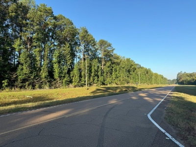 296 Acre Timberland for Sale with Creek Southwest MS - image 40